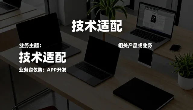 技术开发阶段选型关注点与实施周期优化策略